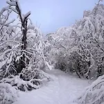 Adventure Panorama 